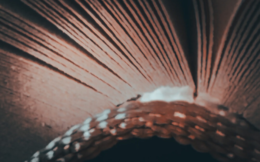 KW 41 / 2025 – Das Buch